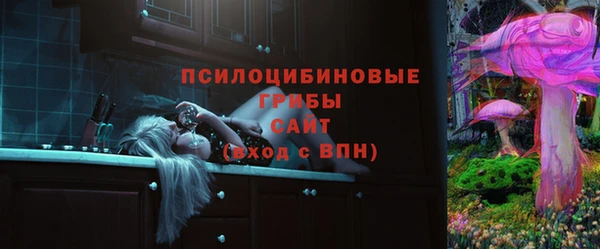 spice Абаза