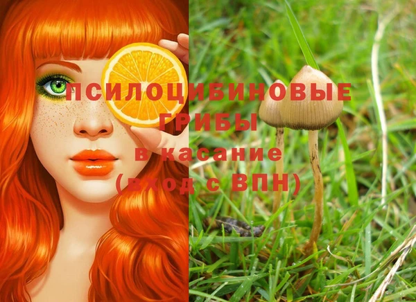 спиды Абдулино