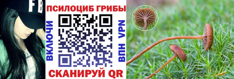 Галлюциногенные грибы Psilocybe Щучье